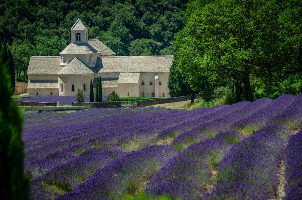 Lavendelvelden in Zuid-Frankrijk — in de Ardèche vind je lavendel bij de Maison de la Lavande in Saint-Remèze